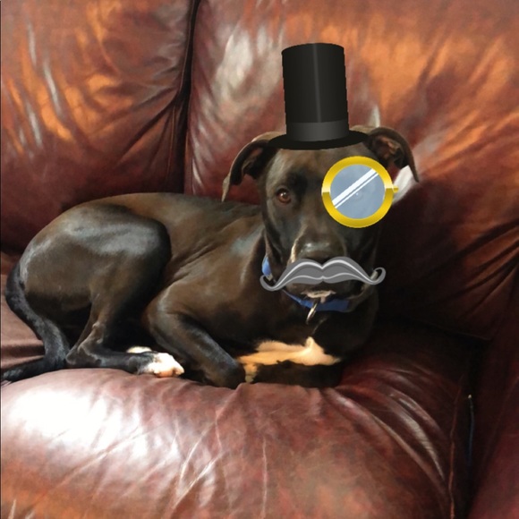 Meet your Posher, Kara - Picture 2 of 7